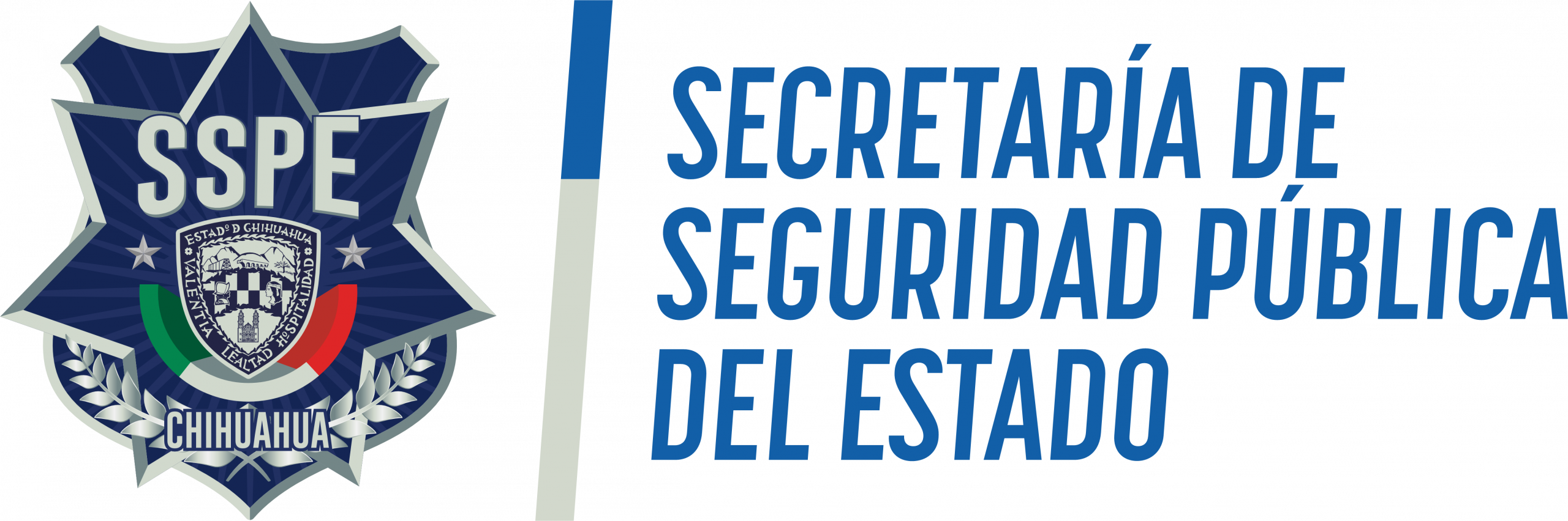 Autorización SSPE